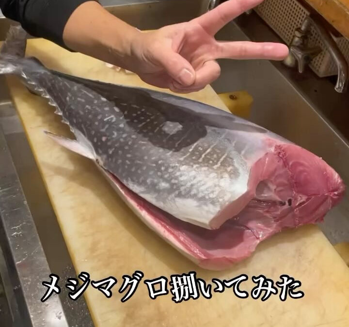 こんばんは蒲田魚丁天です‼️