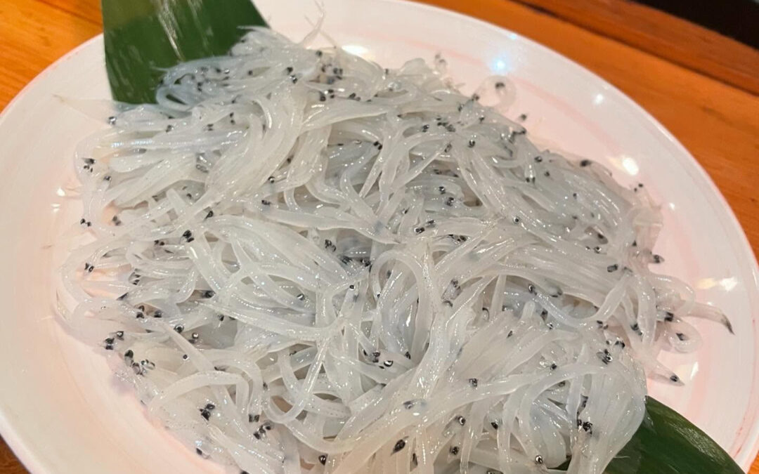 数量限定‼️