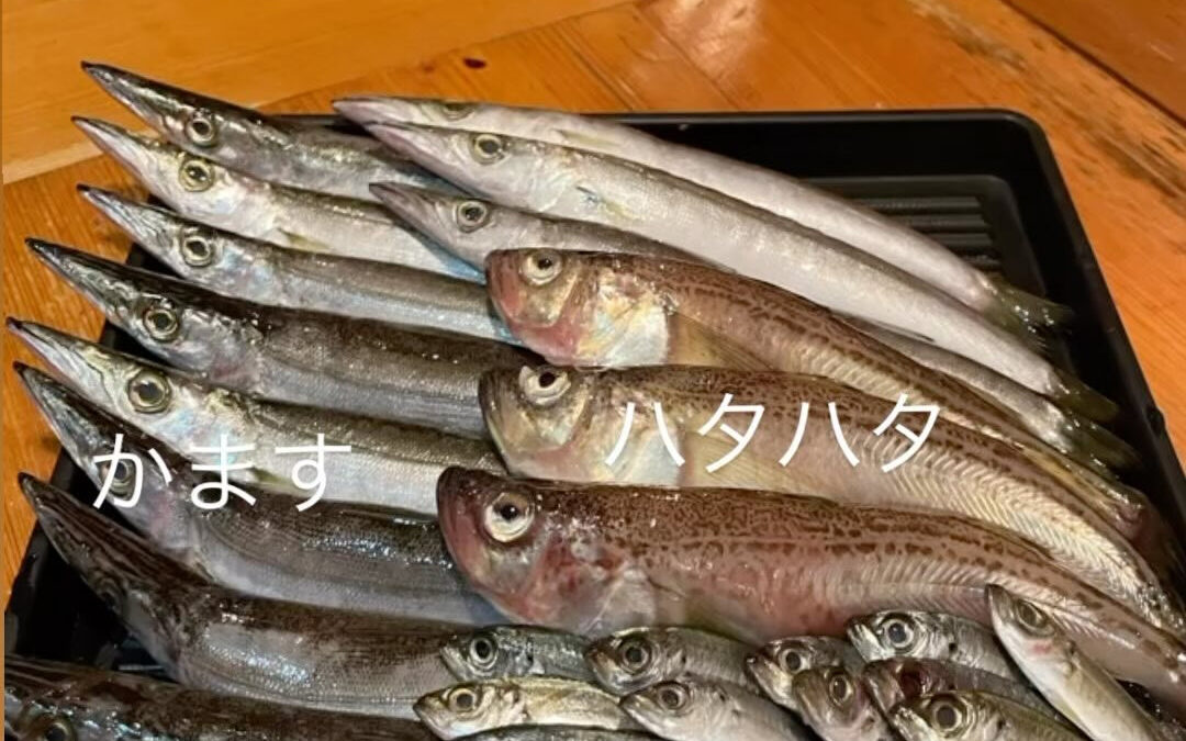 こんばんは魚丁天です