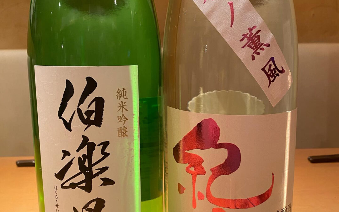 春ですね♪