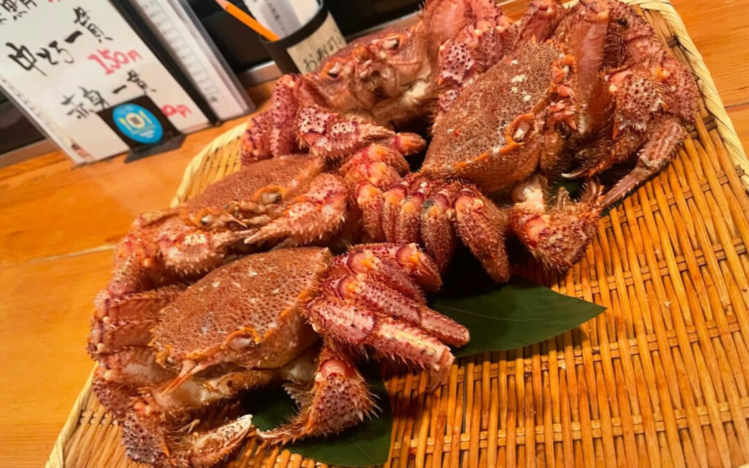 こんばんは魚丁天です