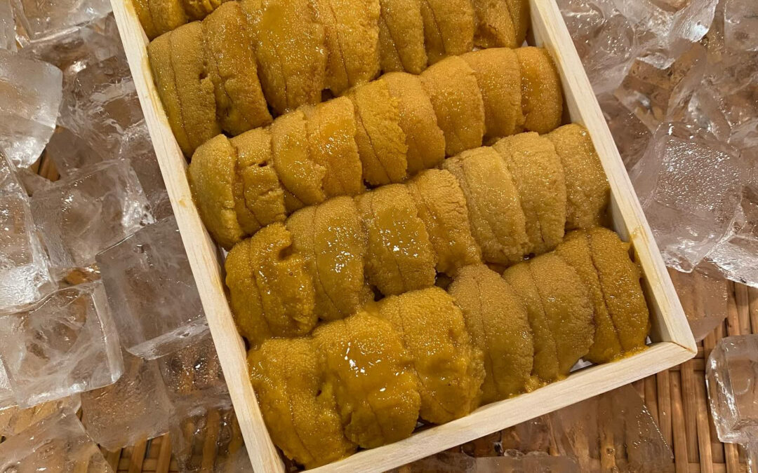 イチオシです‼️