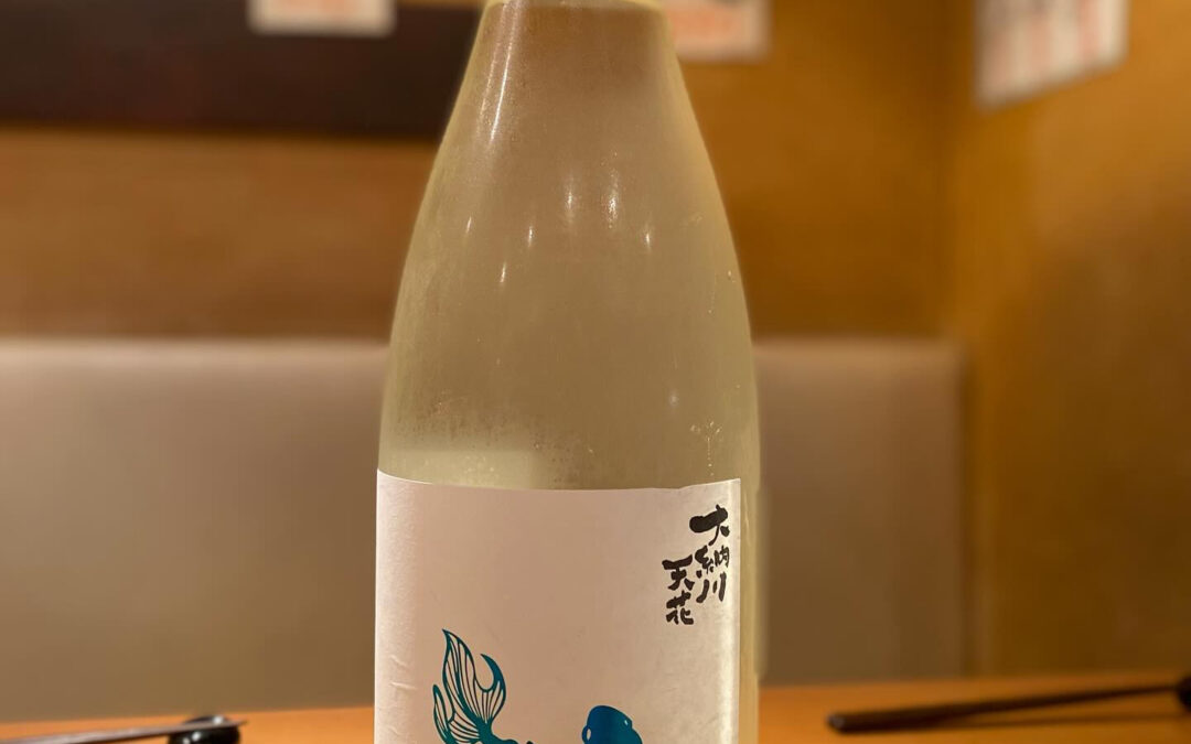 ❗️夏酒❗️入荷❗️