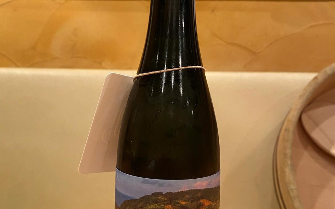 本日のプレミアム日本酒‼️