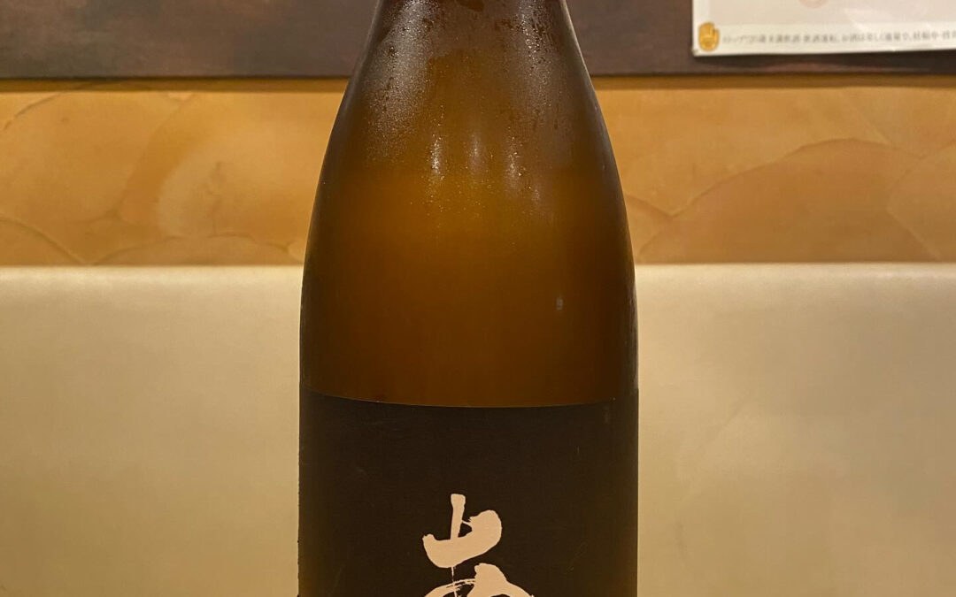 本日のプレミアム日本酒‼️