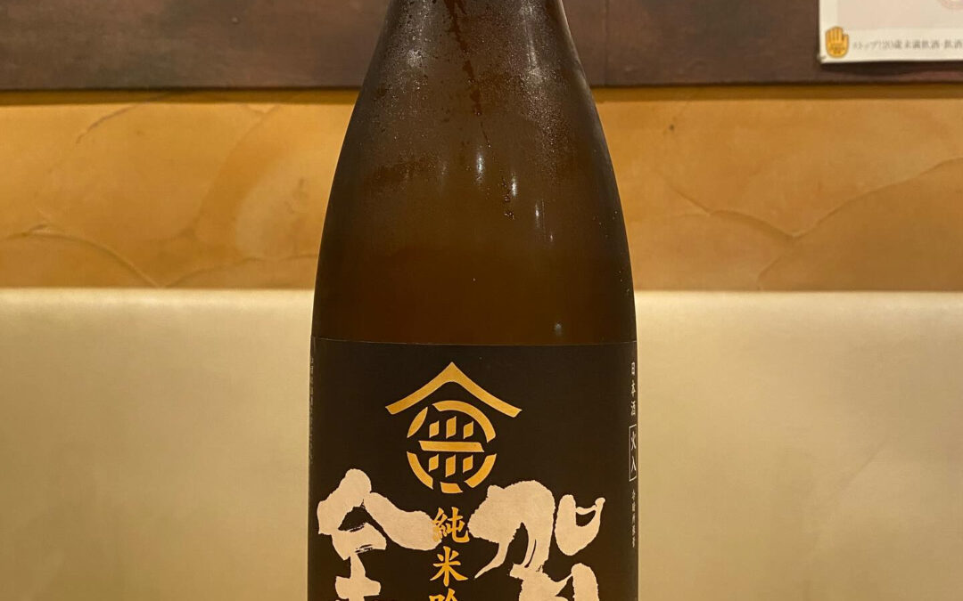 オススメの1本‼️