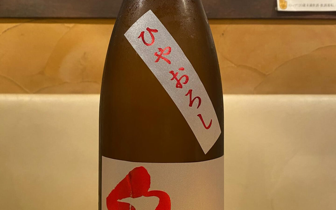 オススメの1本‼️