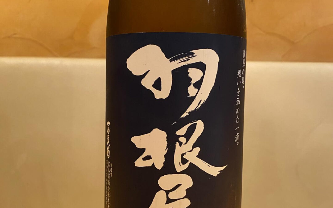 オススメの1本‼️