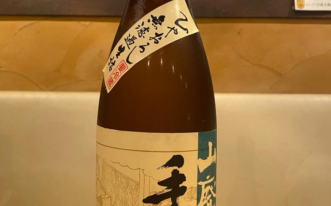 オススメの1本‼️