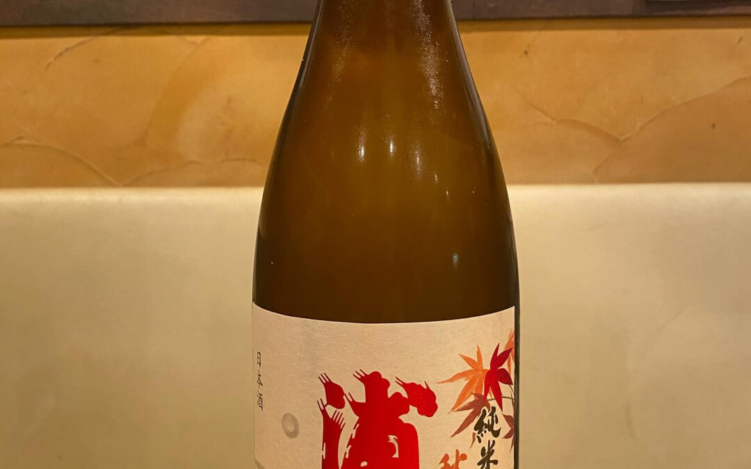 オススメの1本‼️