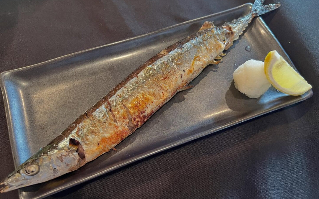 本日、おおすすめ料理はこちら！