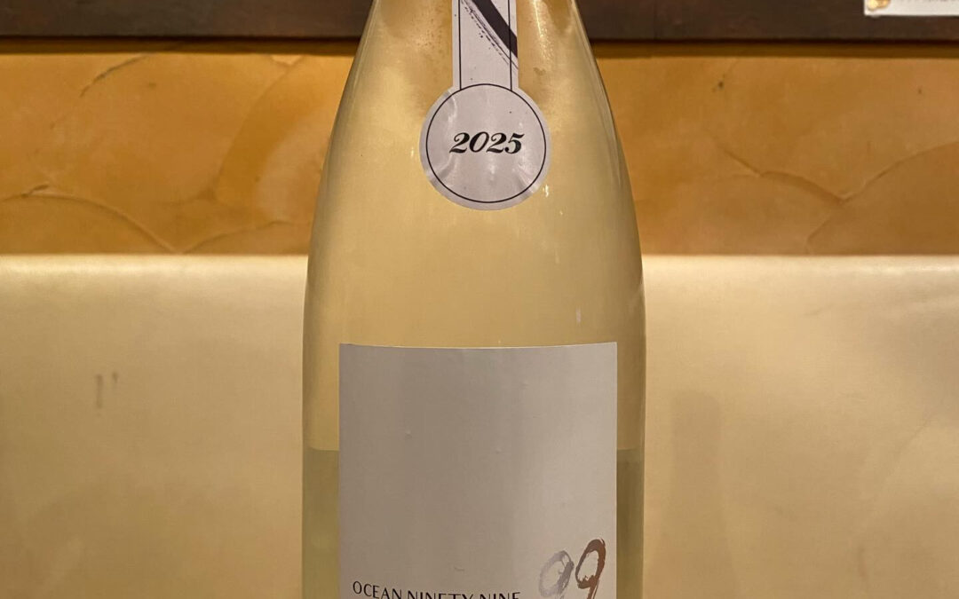 オススメの1本‼️