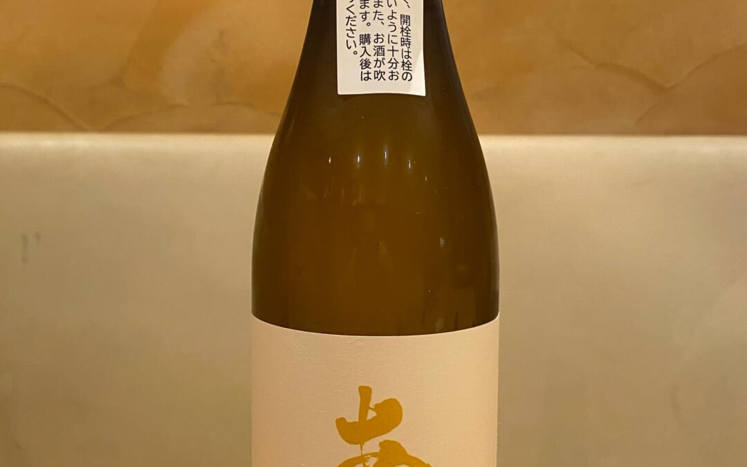 本日のプレミアム日本酒‼️